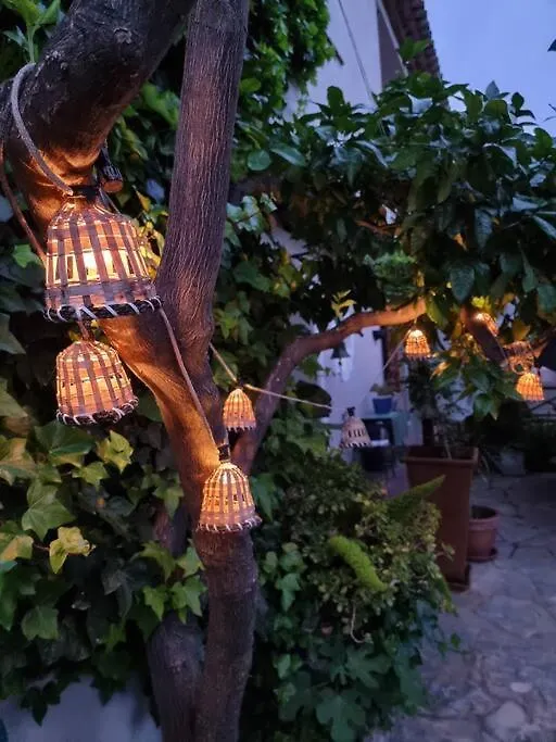 Bonita Casa Rural Con Jardin Y Terraza Privado Jimena De La Frontera