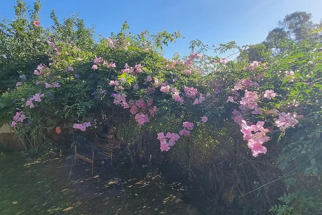 Bonita Casa Rural Con Jardin Y Terraza Privado Jimena De La Frontera